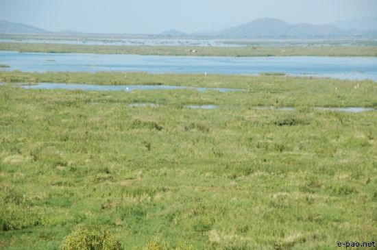 Loktak lake :: 2007