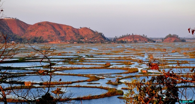 Loktak Lake :: Februray 2010