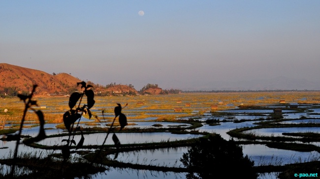 Loktak Lake :: Februray 2010
