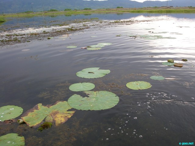 Loktak and few places in Manipur :: June 2010