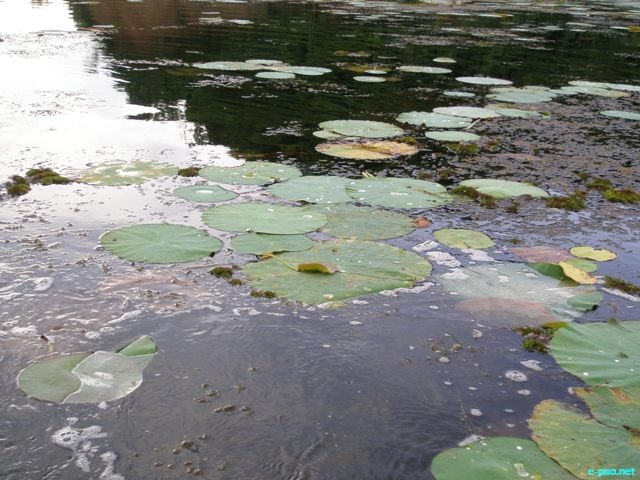 Loktak and few places in Manipur :: June 2010