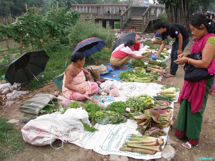Loktak and few places in Manipur :: June 2010