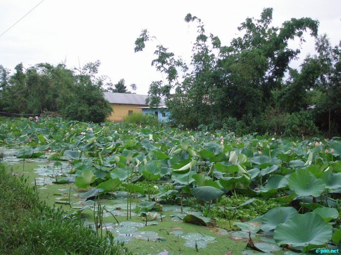 Loktak and few places in Manipur :: June 2010