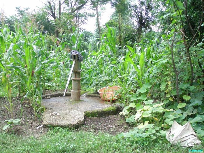 Loktak and few places in Manipur :: June 2010