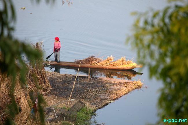 Loktak, Thanga and Karang :: 2011