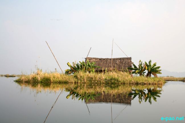 Loktak, Thanga and Karang :: 2011