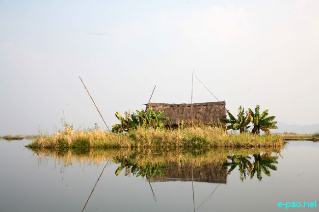 Loktak, Thanga and Karang :: 2011