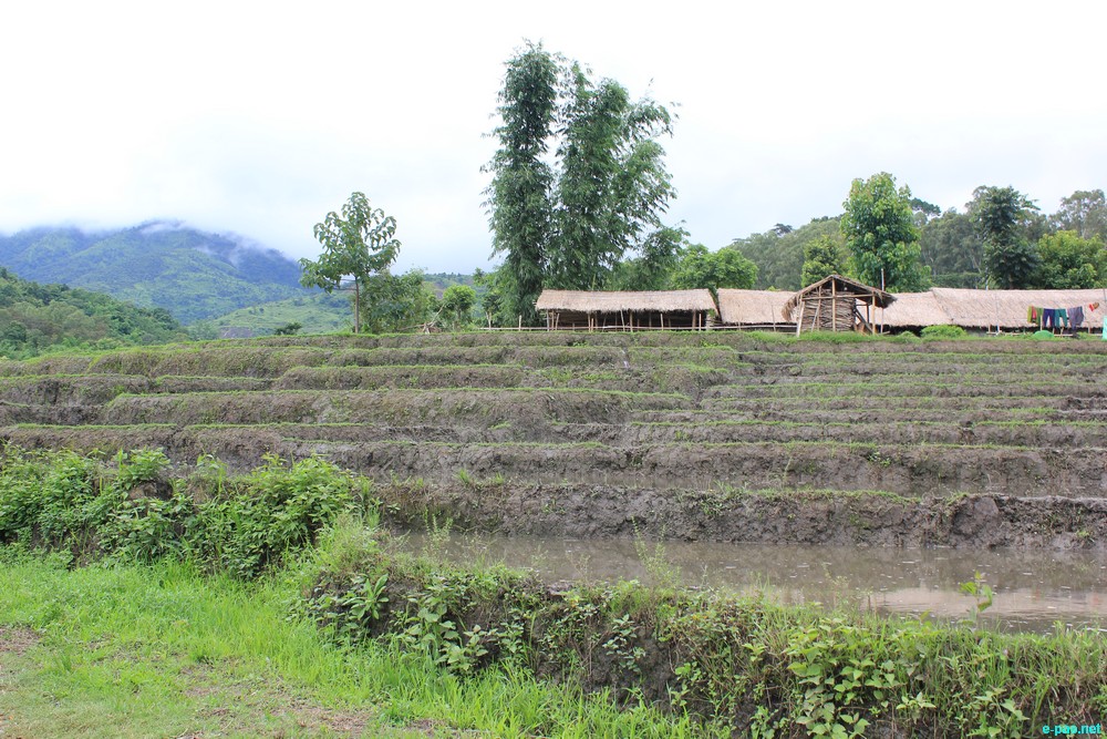 Ngaloi Water Fall, Ngaloi MOUl Village at Churachandpur and surrounding landscape of Churachandpur :: August 2012
