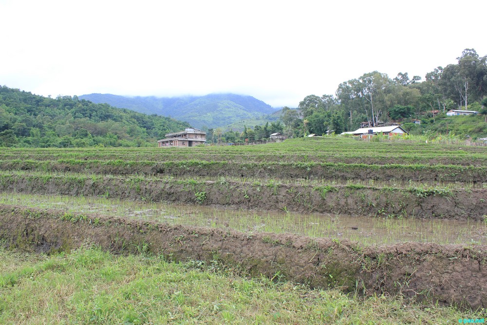 Ngaloi Water Fall, Ngaloi MOUl Village at Churachandpur and surrounding landscape of Churachandpur :: August 2012