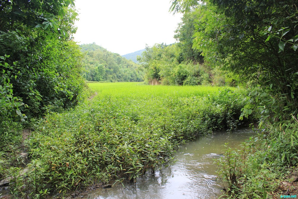 Ngaloi Water Fall, Ngaloi MOUl Village at Churachandpur and surrounding landscape of Churachandpur :: August 2012