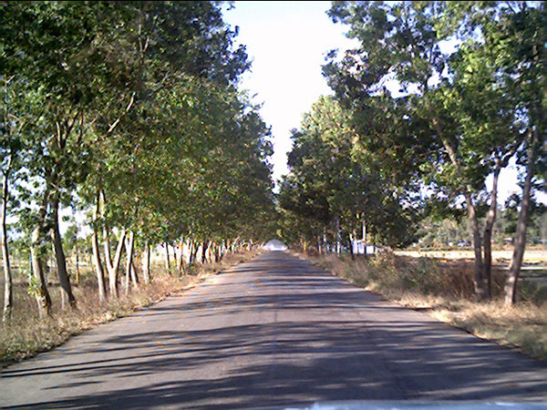 Landscape of Moreh Road - 2007