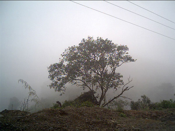 Landscape of Moreh Road - 2007