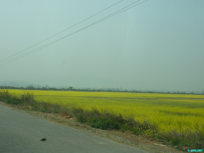 Road in and around Imphal :: March 2010