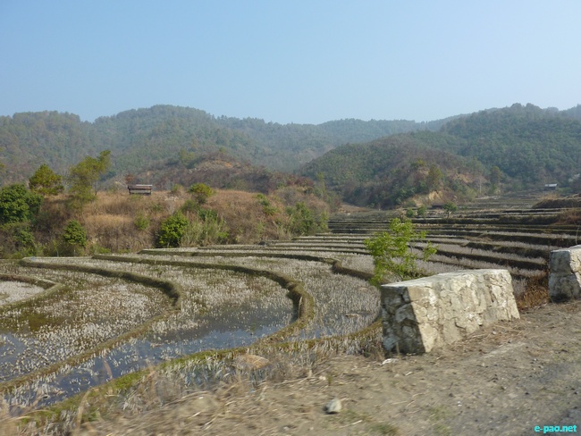 Cultivation on the  Road leading to Ukhrul in March 2010