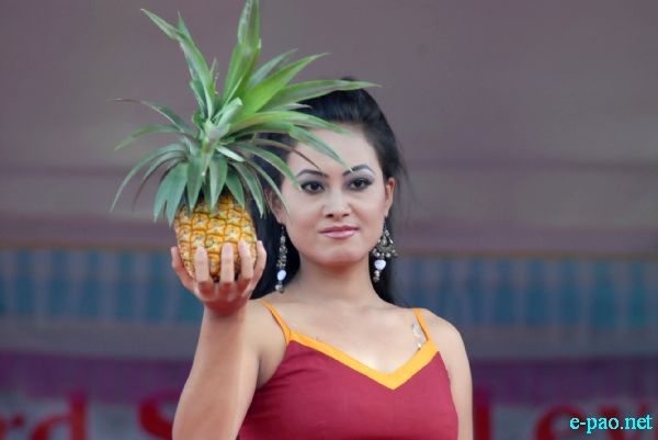 Miss Pineapple Queen 2010 :: August 27/28, 2010