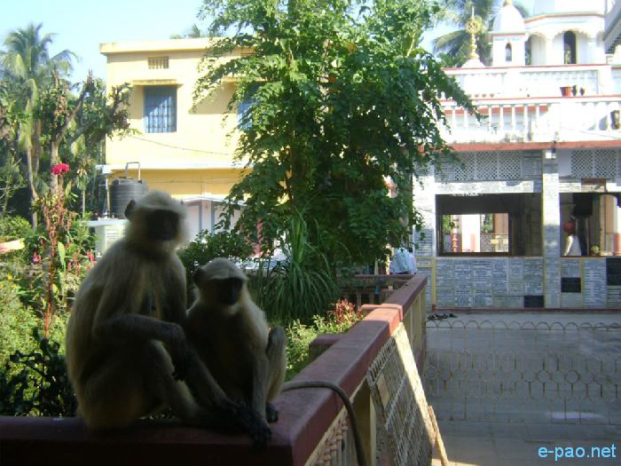 Nabadwip