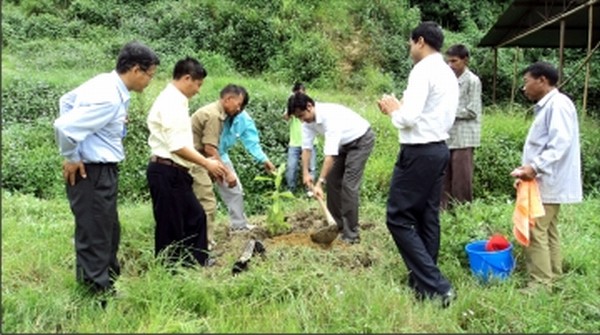 Members of Maram Students Union plating saplings