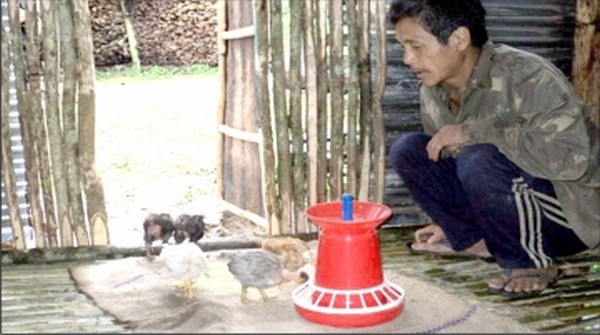 A villager feeds the chicks provided by 37 Assam Rifles