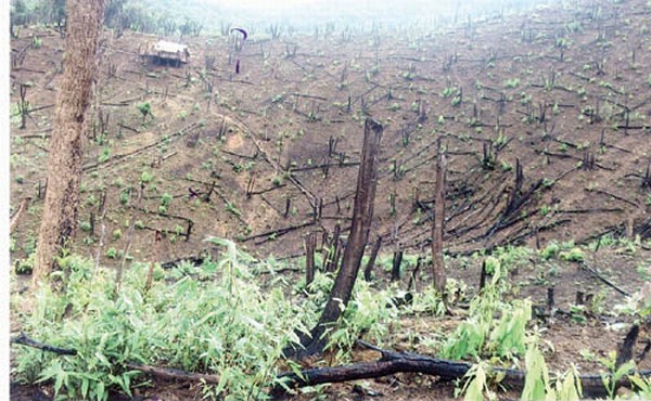 Destroyed fields of Khunthak village in Ukhrul district