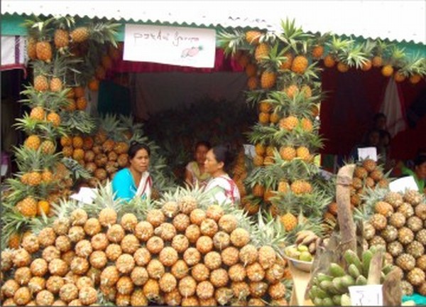 Pineapples put up at the festival at Thayong village