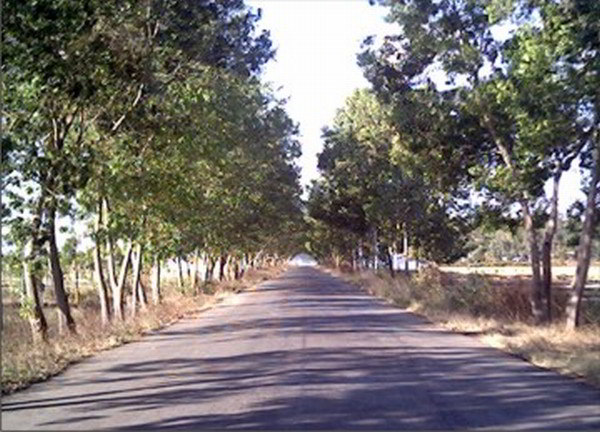 A stretch of the Imphal-Moreh route