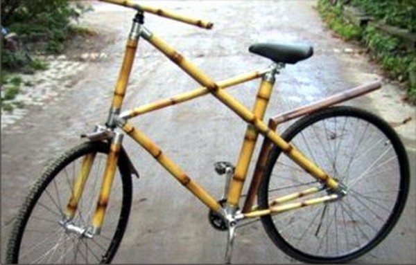 A model of a bamboo cycle