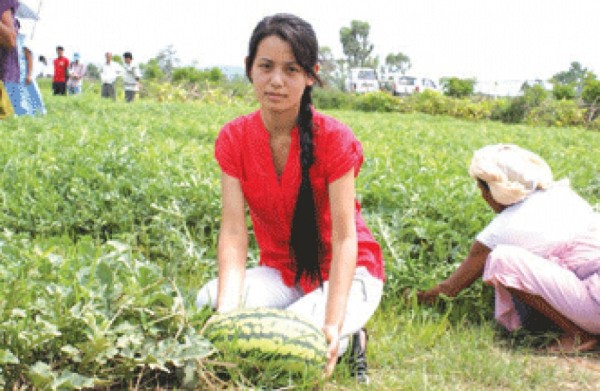 Manipuri film actress Sofia inspecting her watermelon farm at Kakching Khunou