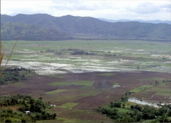 Paddy fields at Chandel district