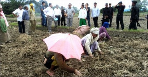A Ministerail team pispecting paddy fields to assess the drought like situation