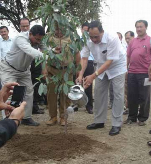 Sapling being planted on the occasion