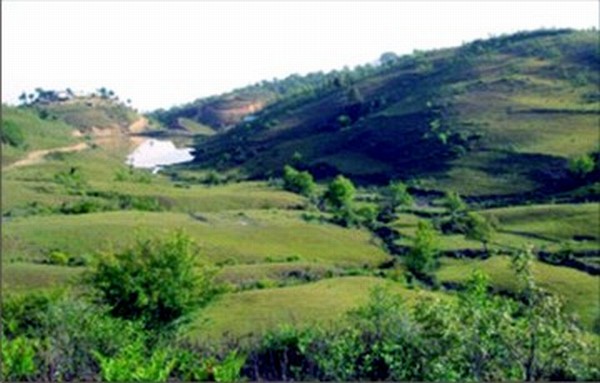 A view of Tungjoy area in Senapati district