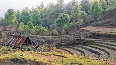Delay in rainfall worries farmers in Ukhrul