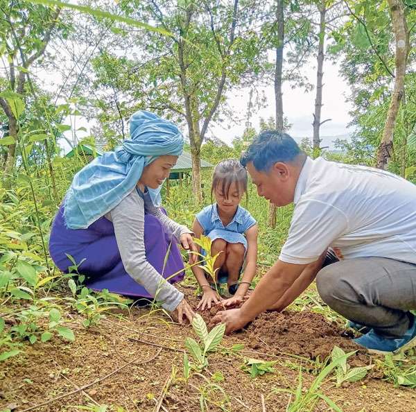 Mass tree plantation campaign commences under Vanmahotsav 2023