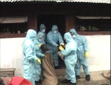 Bird Flu Strikes Manipur :: 27th July 2007