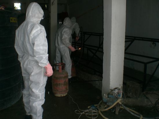Bird Flu Strikes Manipur :: 01st August 2007