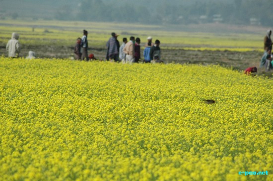 Model Seed Village at Maklang :: First Week - Feb 2009