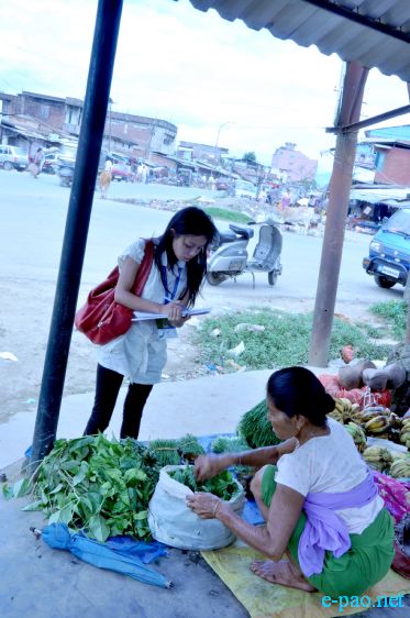 Blue and Green for Organic Manipur at Khurai Lamlong :: 10th Sept 2010