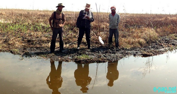 Hazardous  fishing method using Hildan insecticide in Loktak Lake :: February 2012