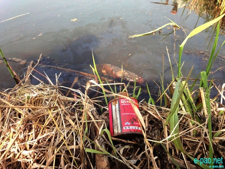 Hazardous  fishing method using Hildan insecticide in Loktak Lake :: February 2012