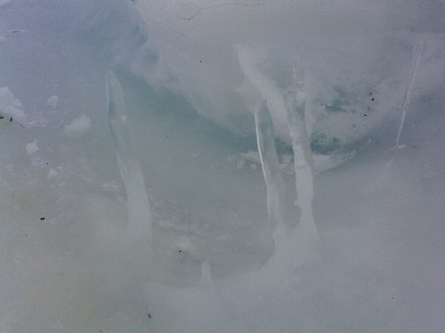 26th Indian Scientific Expedition to Antarctica :: December 2006-April 2007