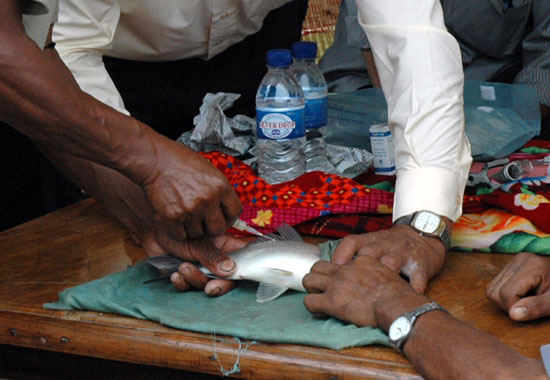 The Fish farmers Training Programme :: 20-29th Aug 2007