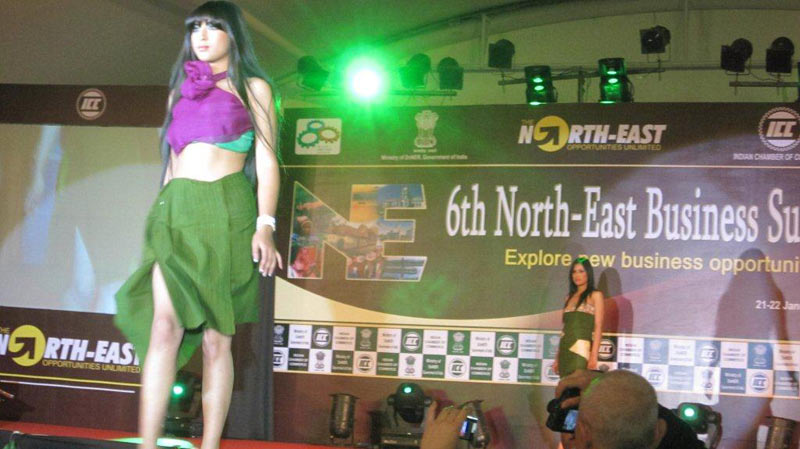 6th North East Business Summit held on 21st and 22nd Jan 2011 at Intercontinental, Mumbai