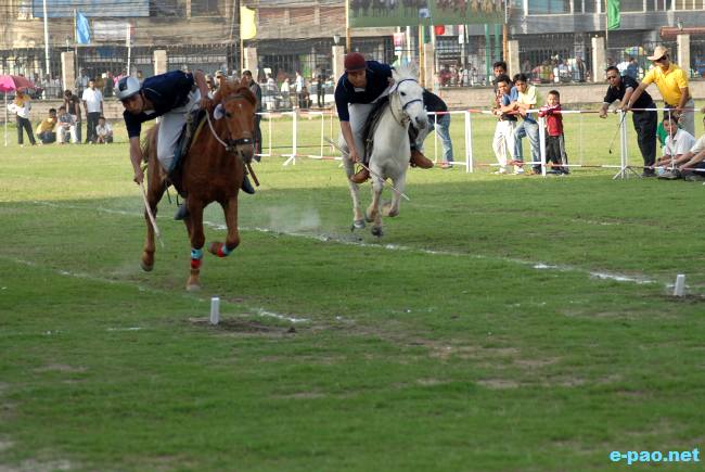 7th DGAR Equestrian championship 2010  :: 25 March - 5 April 2010