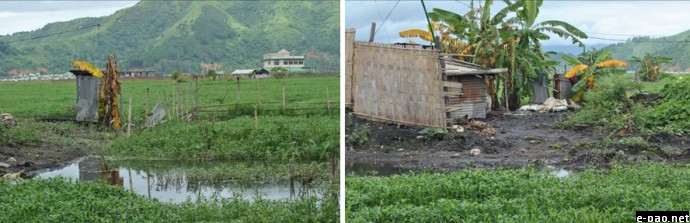Unhygienic latrines inside the wetland.