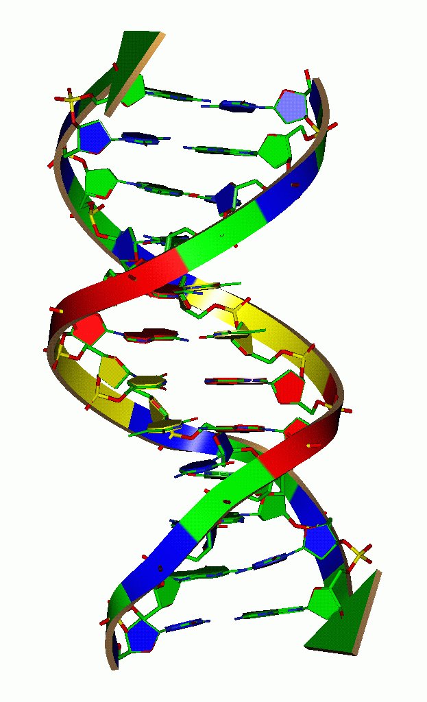 Estimation and Regulation of DNA