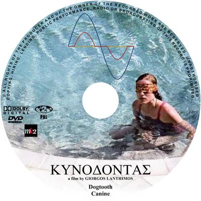 Kynodontas(Greek) : Dogtooth(English)