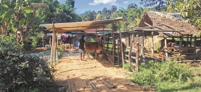 Beneficiaries allegedly denied cows, benefits